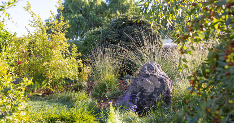 Immagine di un giardino eclettico esposto in pieno sole di medie dimensioni e dietro casa con pacciame e recinzione in legno