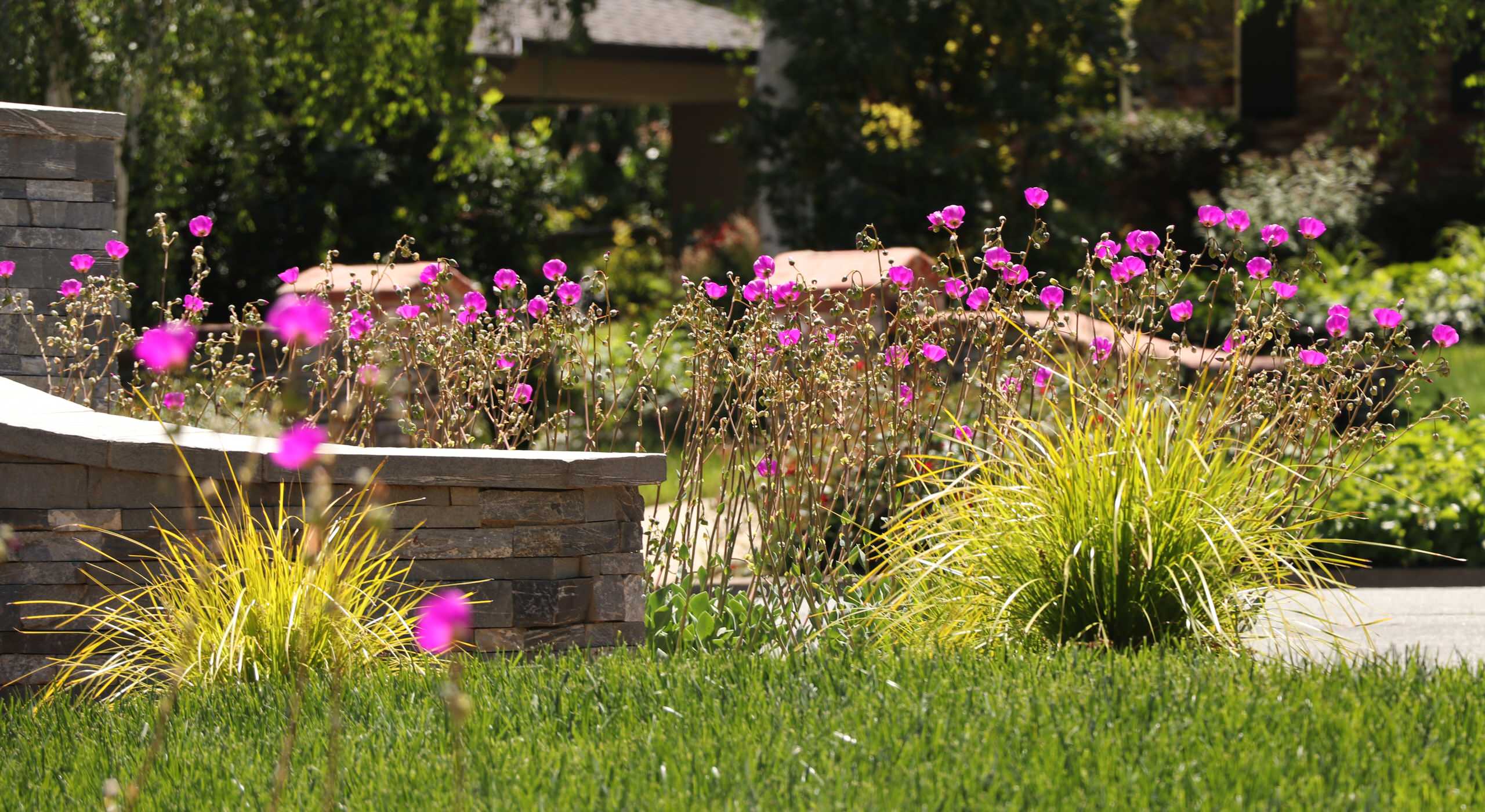 FRONT YARD WITH TREES AND DRY-CREEK