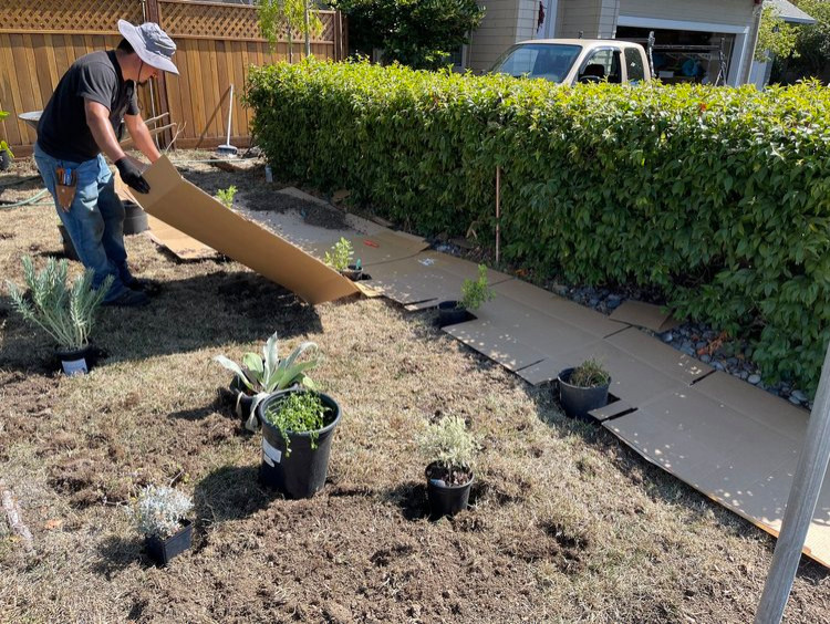 Sheet Mulch Process