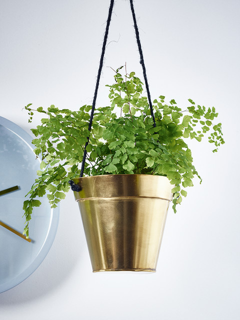 Hanging Gold Planter - Small