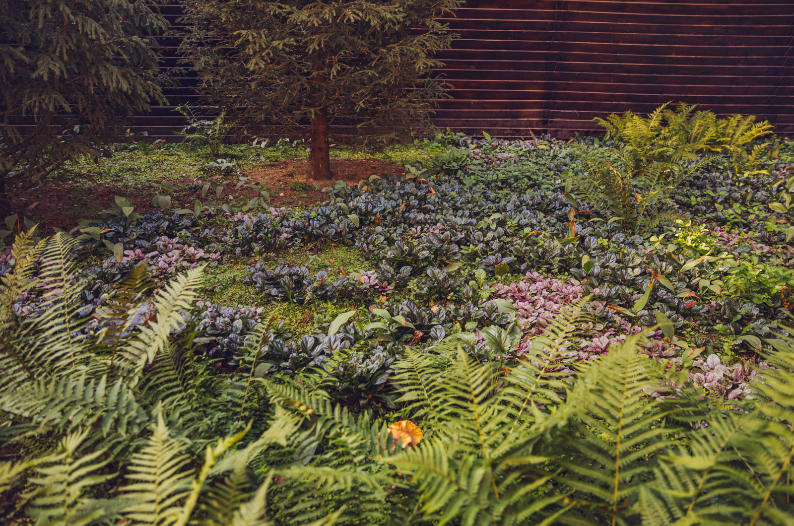 Архитектурное Решение в Пейзажном Стиле