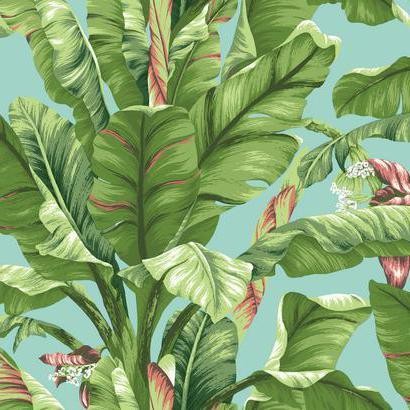 York Wallcoverings AT7070 Tropics Banana Leaf Wallpaper - Tropical