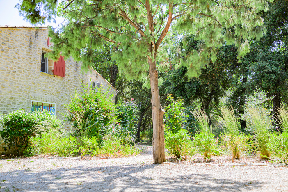 Jardin naturel sous les chênes