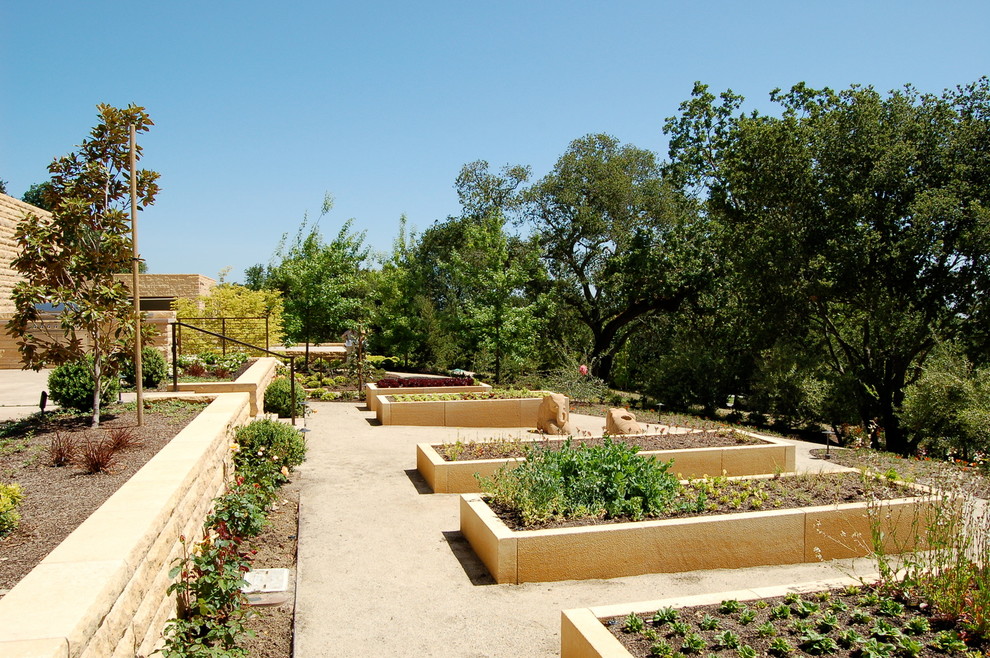 This is an example of a mediterranean full sun garden in San Francisco with a vegetable garden.