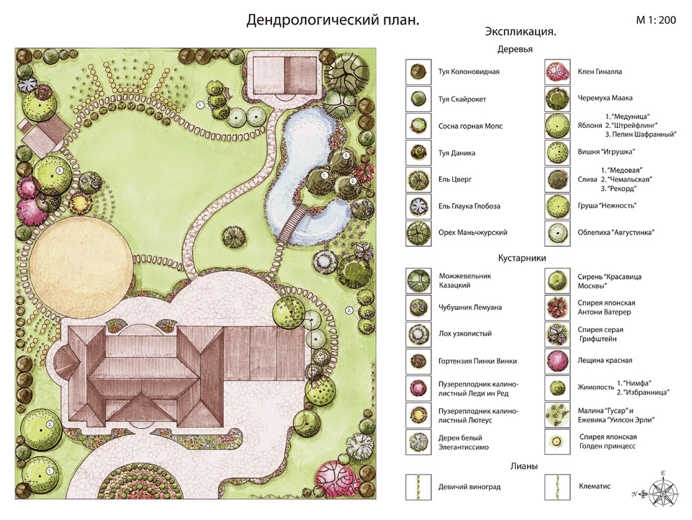 Дендрологический план