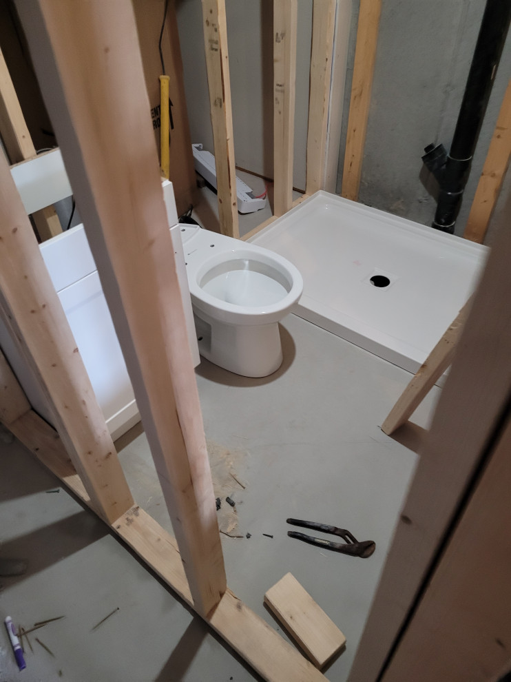Basement Bathroom