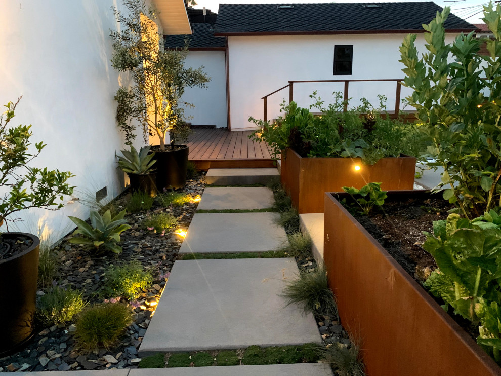 Mid-sized scandinavian front yard full sun driveway in San Diego for summer.