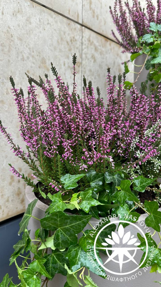 Осеннее оформление