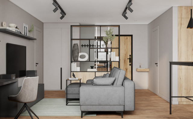 1 bedroom flat contemporary-living-room