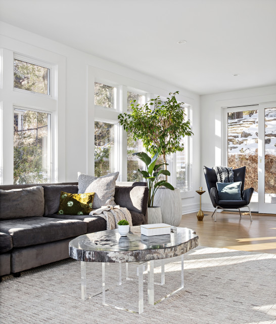 Lloyd transitional-living-room