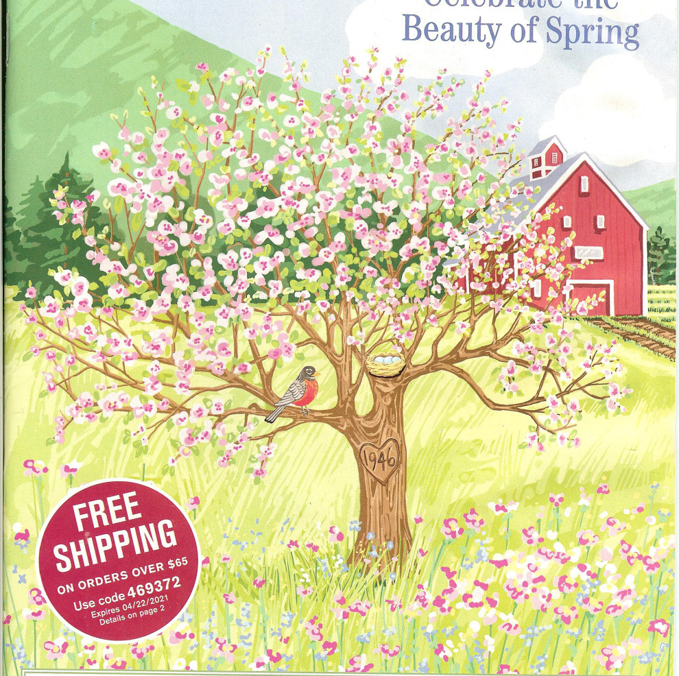 Help with plants for under apple tree