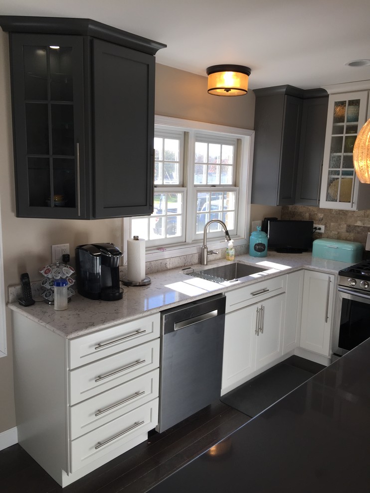 Kitchen - transitional kitchen idea in Chicago