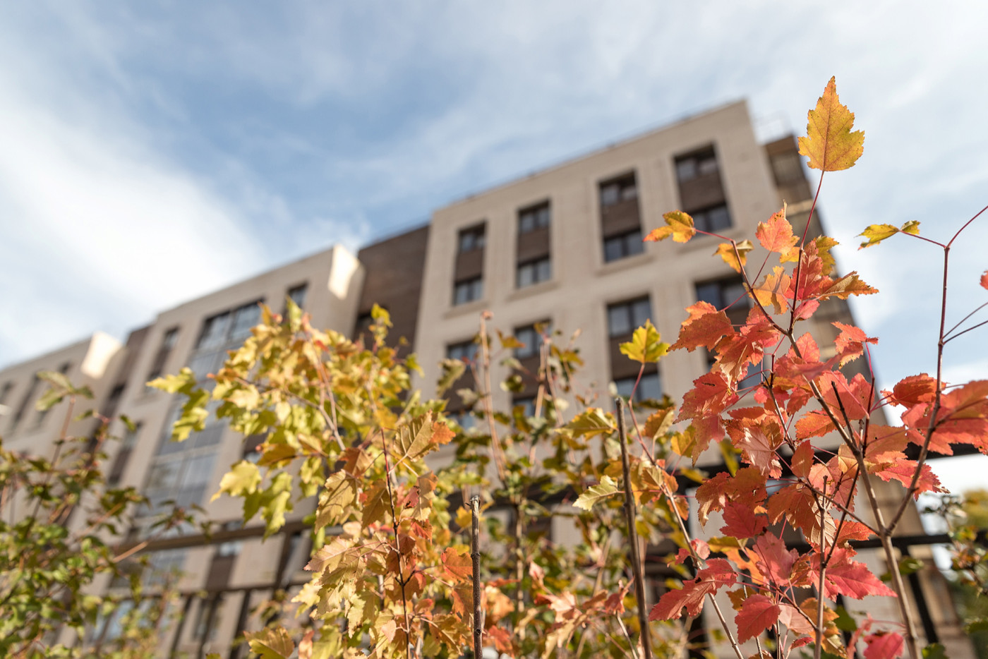 Архитектурная съёмка ж/к "Родные берега" (ул. Звездинская)