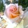 Last commented by Nannie Helen Whatevva