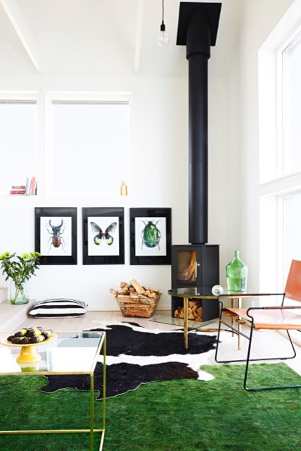 Interi&ouml;rer scandinavian-living-room