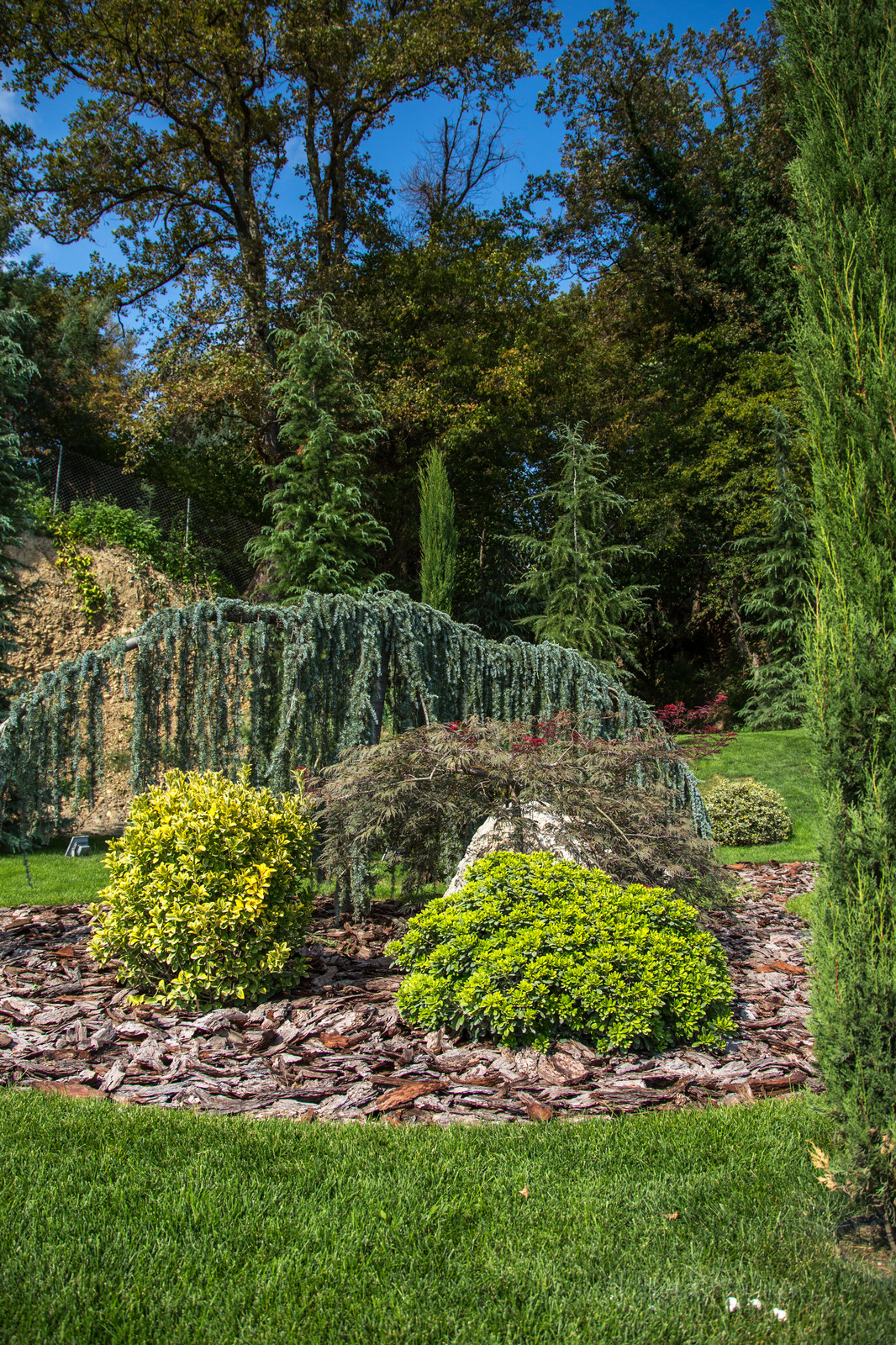 Ландшафтный Дизайн Олимпийский Сочи