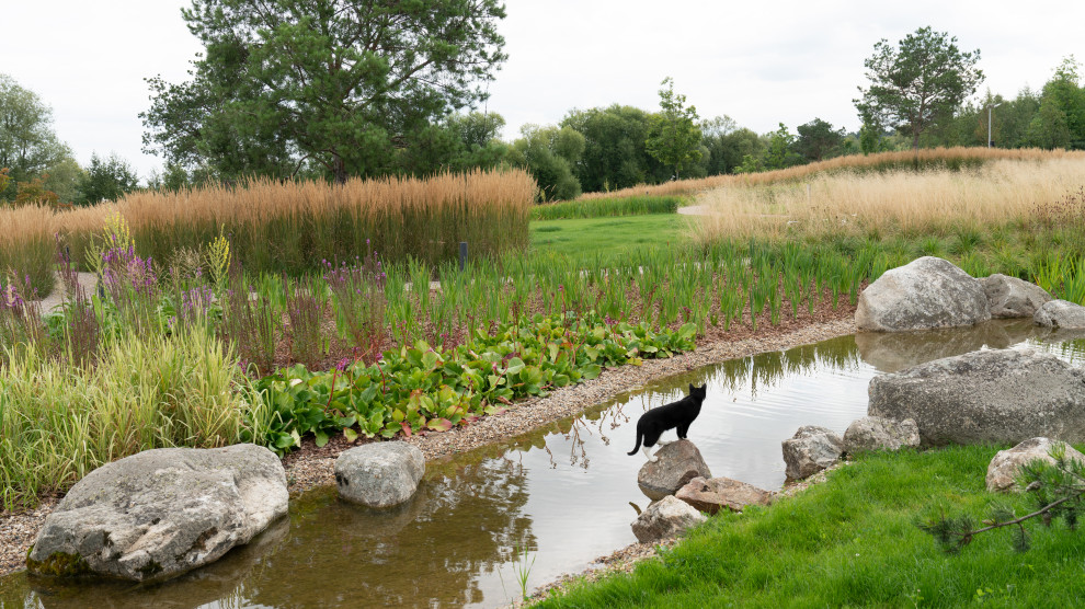 Природный сад. Жуковка XXI век. 2017-2018 гг.