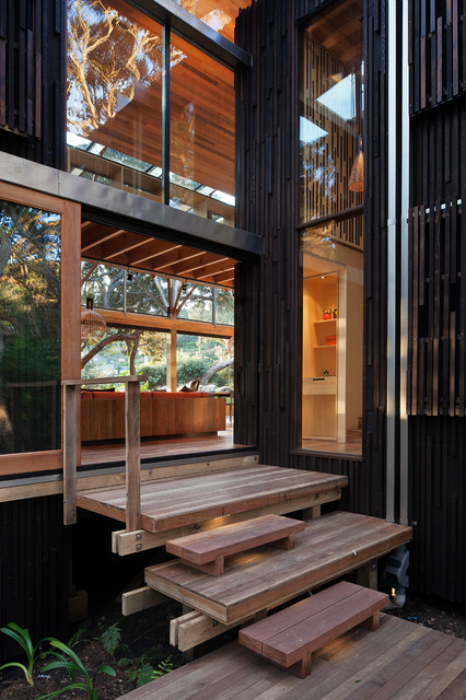 Under Pohutuka contemporary-exterior