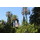 Last commented by callecovina
