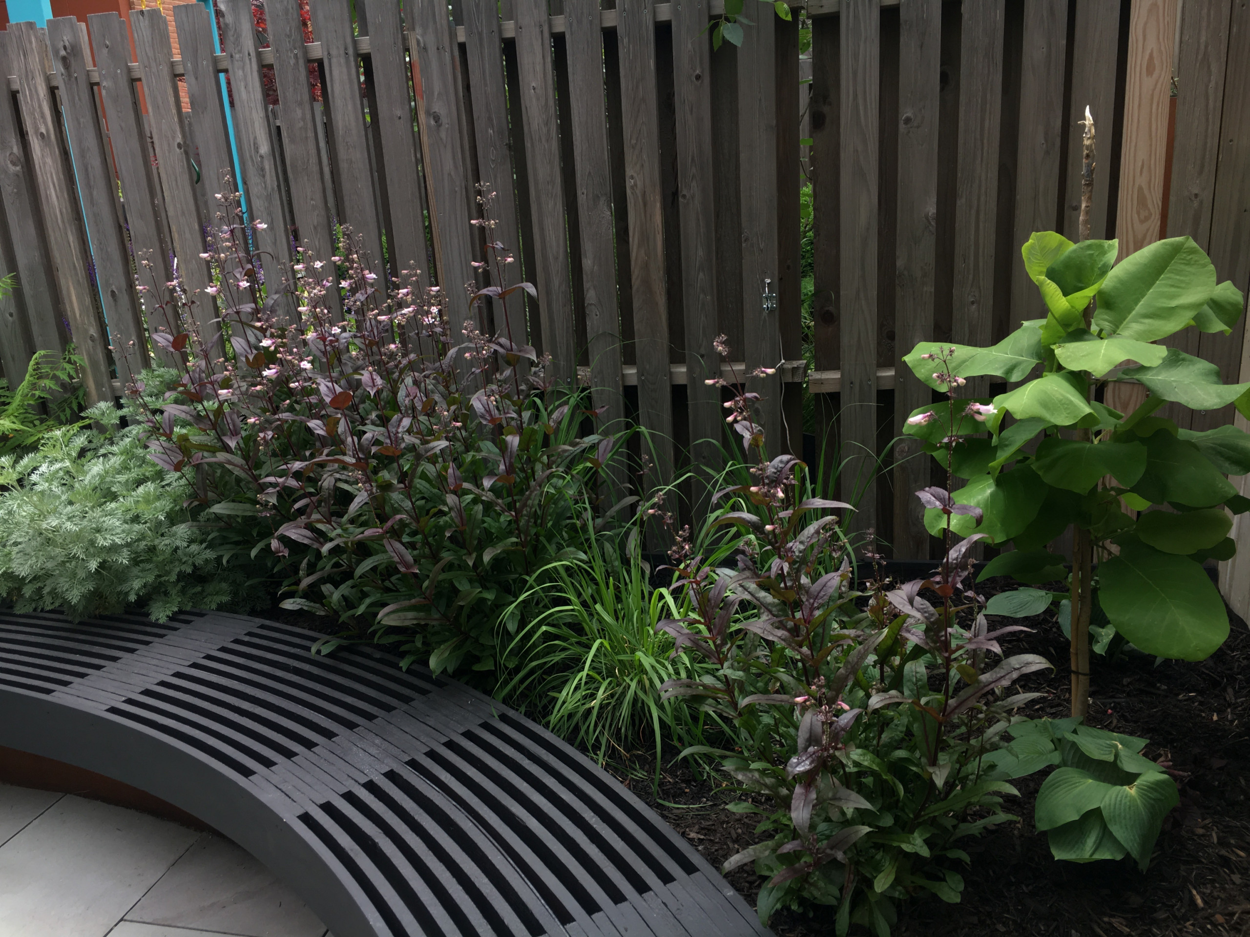 Modern Garden with Curved Corten Border