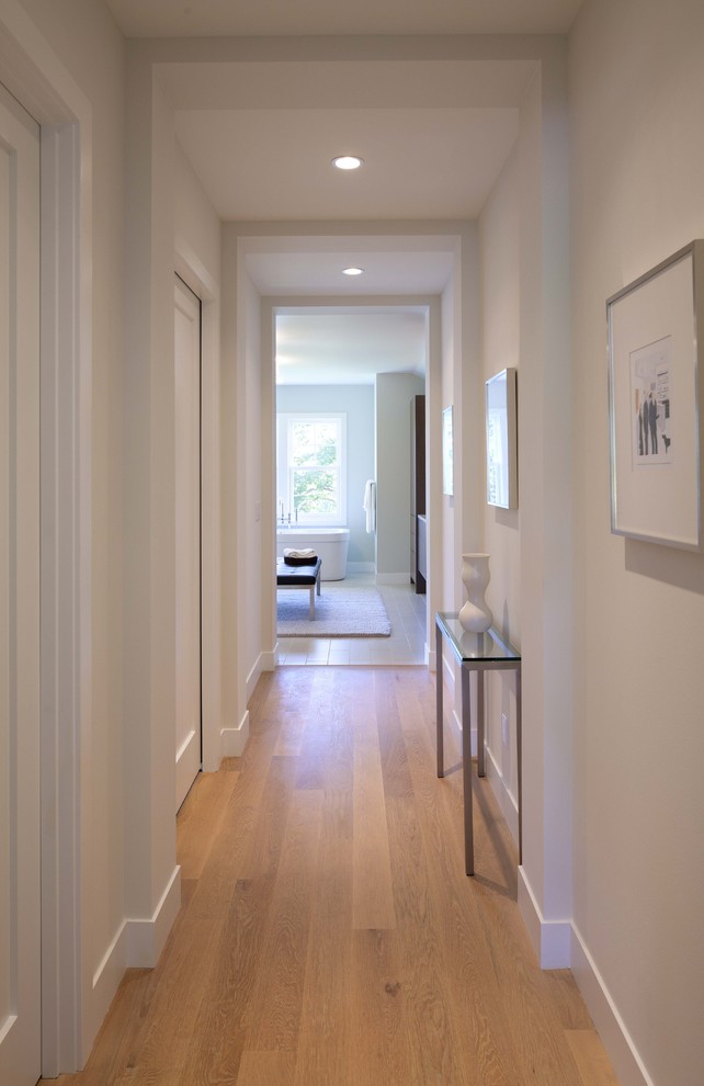 This is an example of a contemporary hallway in Minneapolis with white walls and medium hardwood floors.