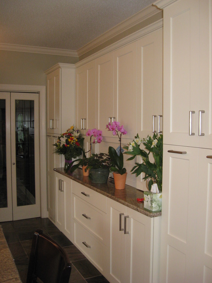 Kitchen - transitional kitchen idea