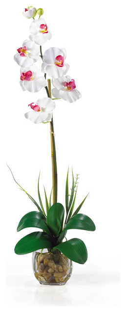 Single Phalaenopsis Liquid Illusion Silk Flower Arrangement