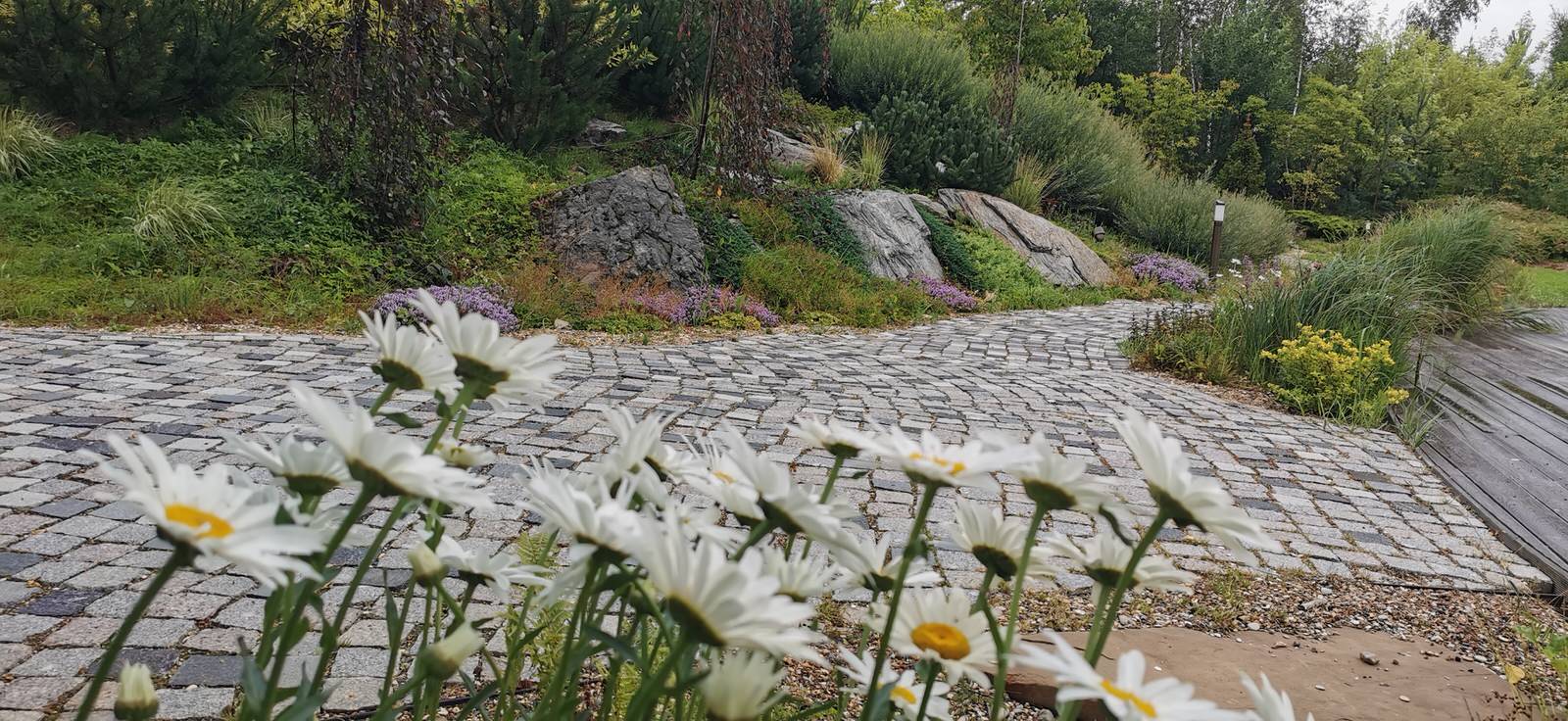 Лесное озеро