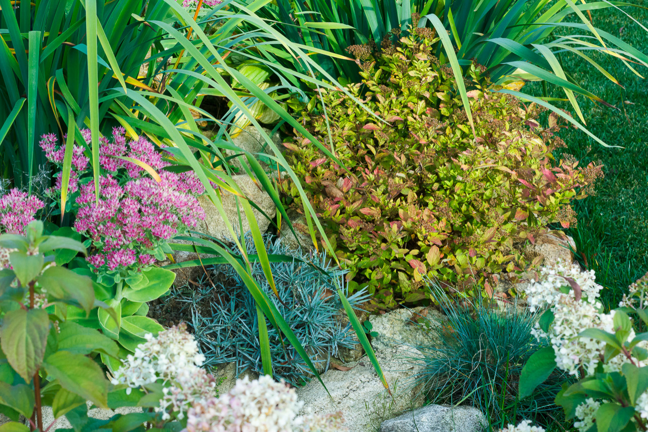 Минимализм в саду