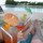 webuser_3958911