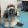 kim_swanson29