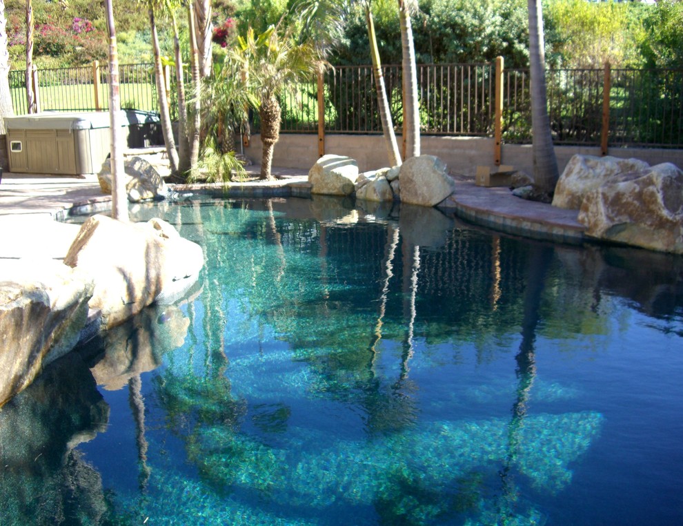 This is an example of a mid-sized tropical backyard custom-shaped lap pool in San Luis Obispo.