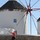 quail_62