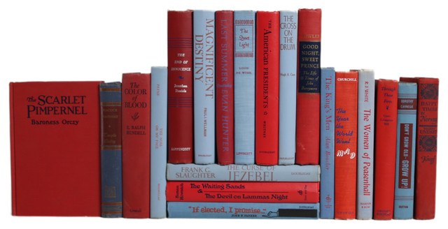 20 Piece Midcentury Book Set Red And Blue Contemporary Books By Booth Williams