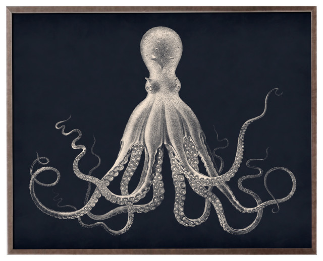 Lord Bodner Octopus Print, Navy Background, Silver Octopus, 60"x48"