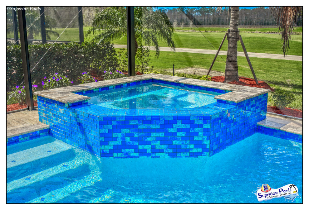 Mid-sized traditional backyard custom-shaped pool in Tampa with natural stone pavers.