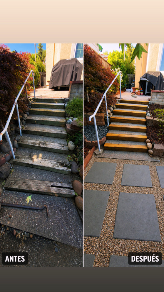 Complete Backyard & Landscape Renovation