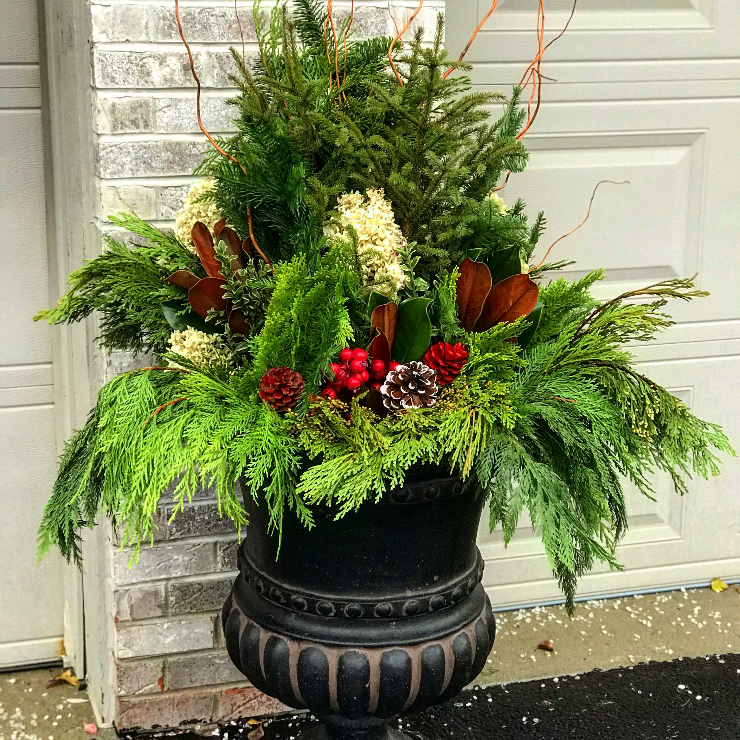 Winter containers and Holiday Decorations