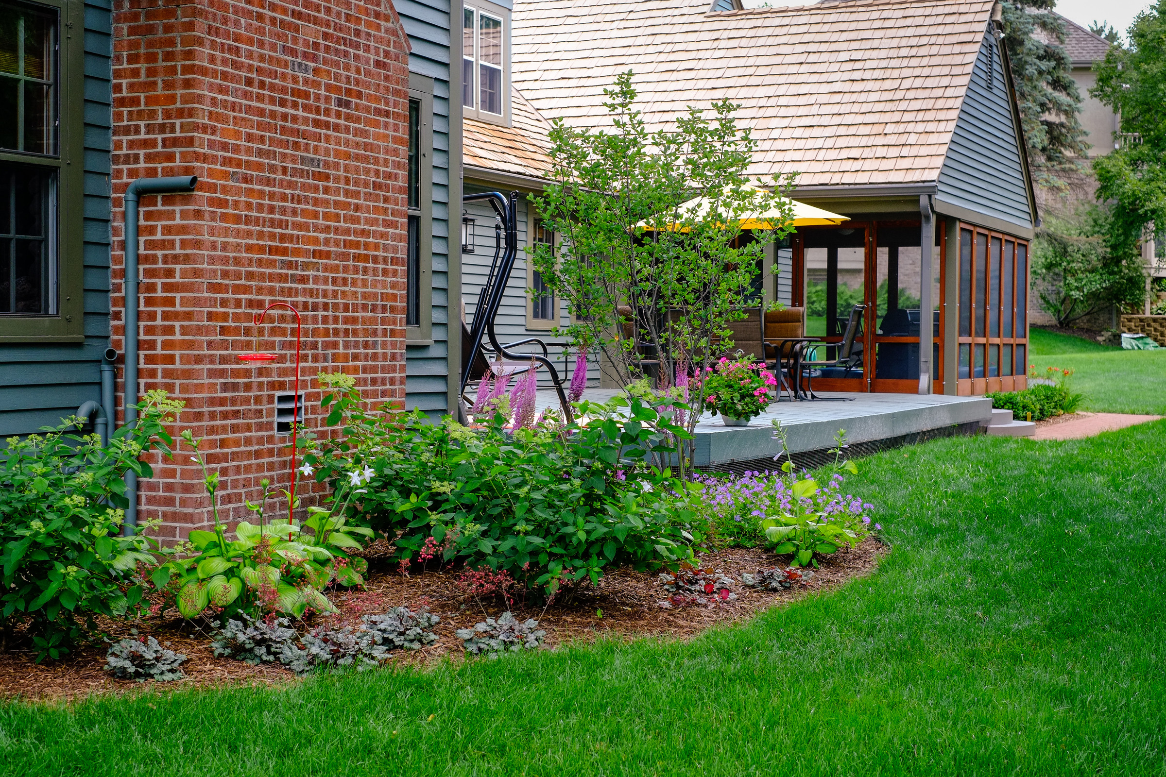 Traditional Saltbox Landscape Update - Brookfield