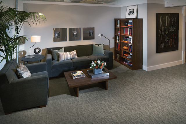 Karastan Basement Carpet - Modern - Family Room - Boston ...