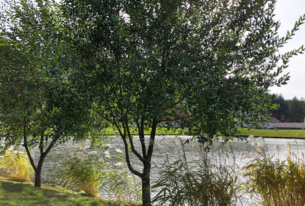 Дом у озера