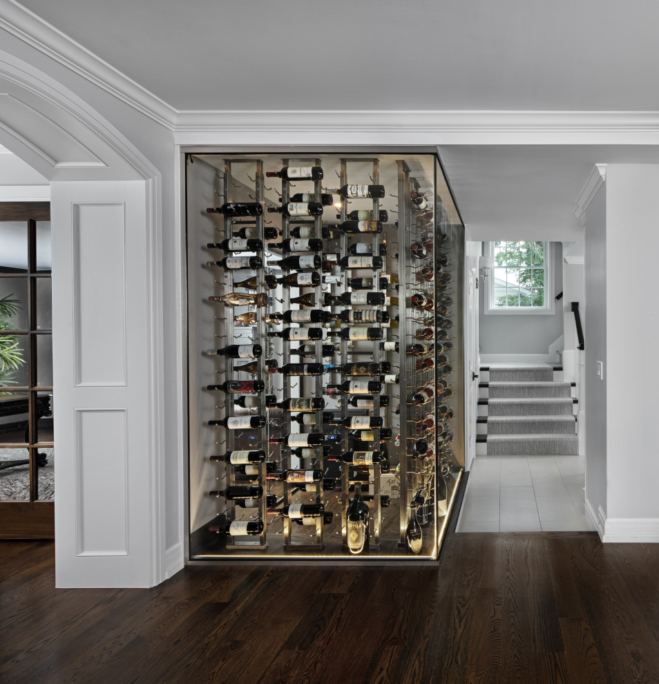 This is an example of a mid-sized transitional wine cellar in Detroit with dark hardwood floors, storage racks and brown floor.