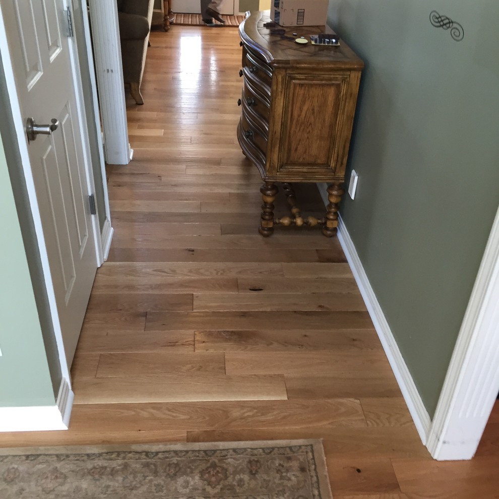 Photo of a small traditional hallway in Other with green walls, light hardwood floors and brown floor.