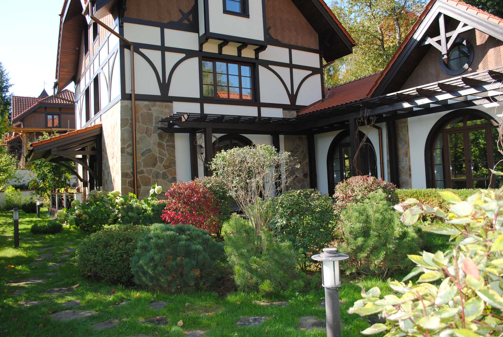 Осенний лес.Дмитровское шоссе