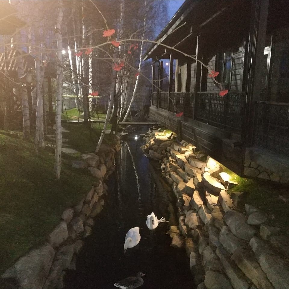 Берега загородной жизни