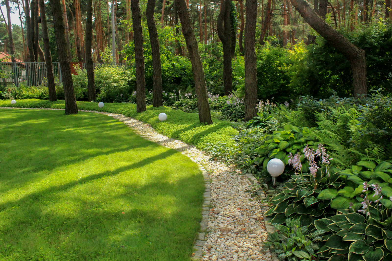 Тенистый сад в лестном массиве