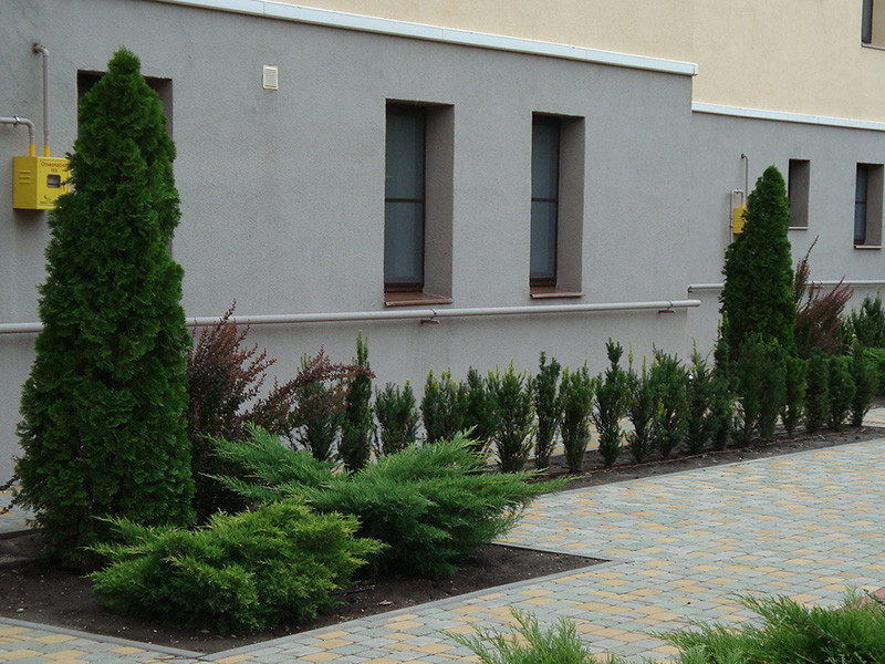 Частное домовладение