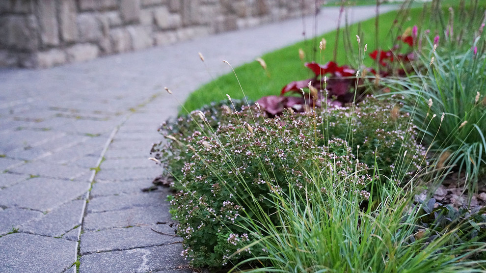 Мечта об Альпах. КП Вымпел