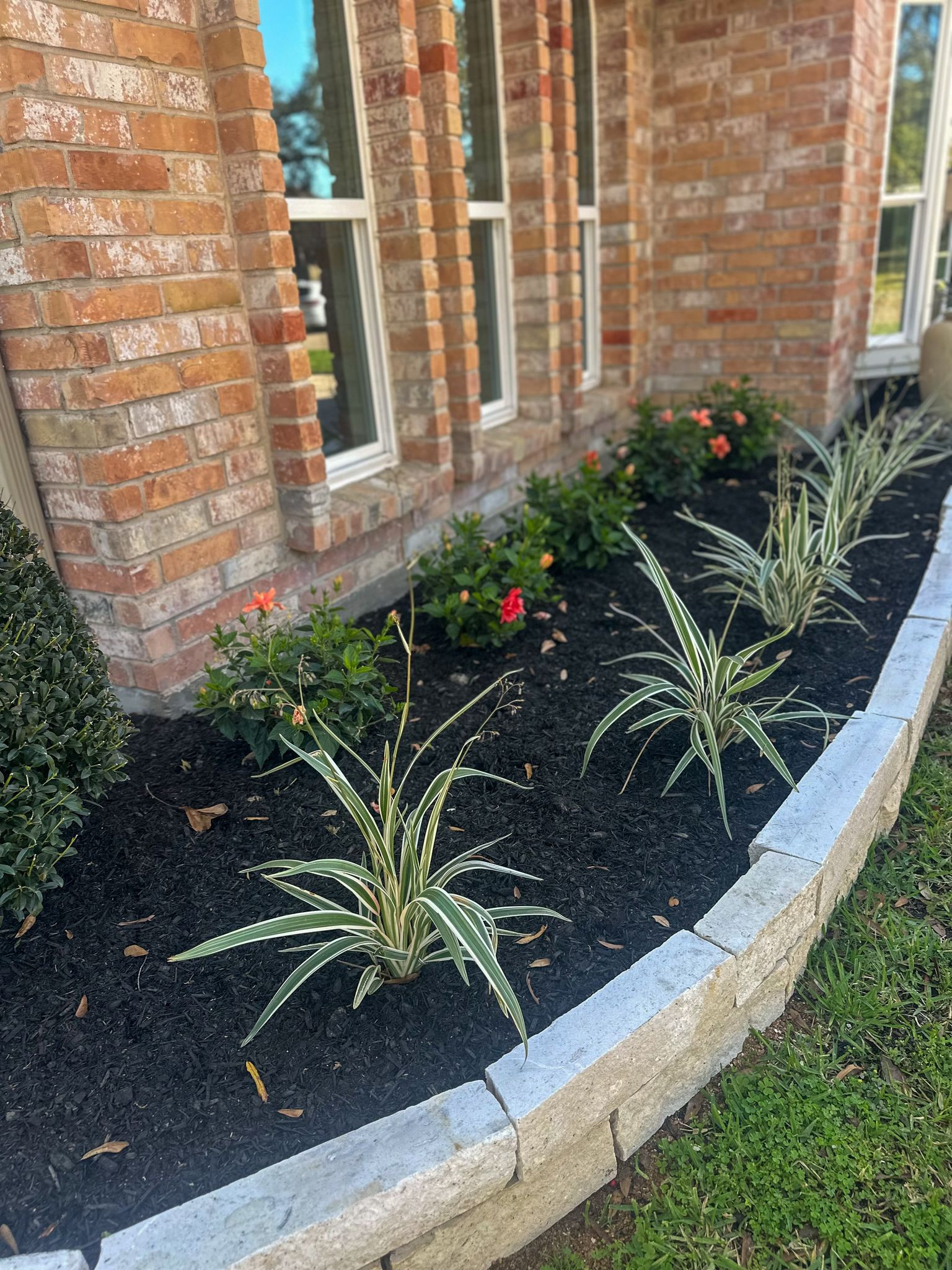 Front yard makeover at Durban Dr!