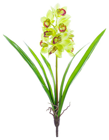 Silk Plants Direct Cymbidium Orchid Plant, Set of 6